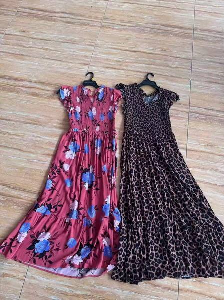 Lady's Dress